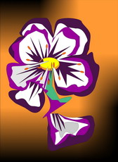 Jolly Daubs Digital Art: One pansy.