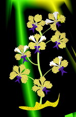 Jolly Daubs Digital Art: A spotted flower.