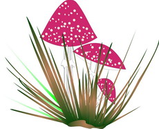 Jolly Daubs Digital Art: A decorative toadstool.