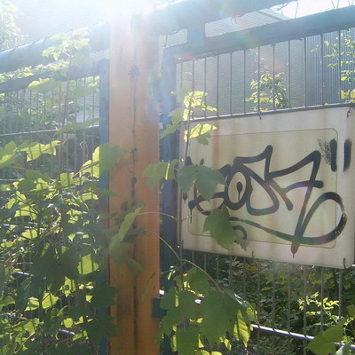Graffiti and street art from a photo tour in Bremen including colourful sprayed tags and top-to-bottoms.