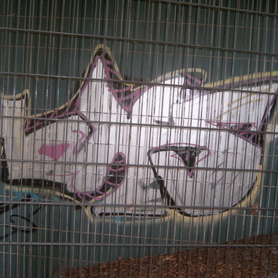 Graffiti and street art from a photo tour in Bremen including colourful sprayed tags and top-to-bottoms.