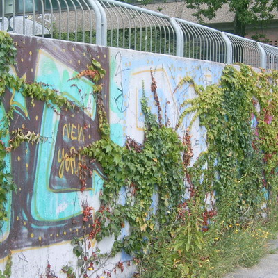 Graffiti and street art from a photo tour in Bremen including colourful sprayed tags and top-to-bottoms.
