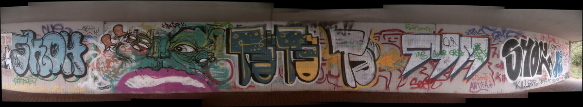 Graffiti and street art from a photo tour in Bremen including colourful sprayed tags and top-to-bottoms.