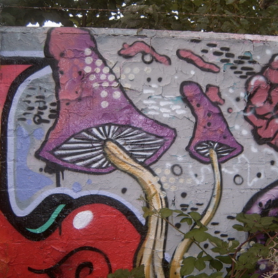 Graffiti and street art from a photo tour in Bremen including colourful sprayed tags and top-to-bottoms.