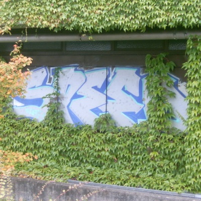 Graffiti and street art from a photo tour in Bremen including colourful sprayed tags and top-to-bottoms.